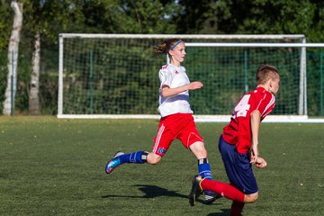 Bild 264 - Frauen HSV - cJun Eintracht Norderstedt : Ergebnis: 1:16